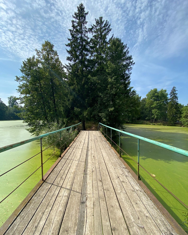 Фото Усадьба Апраксиных