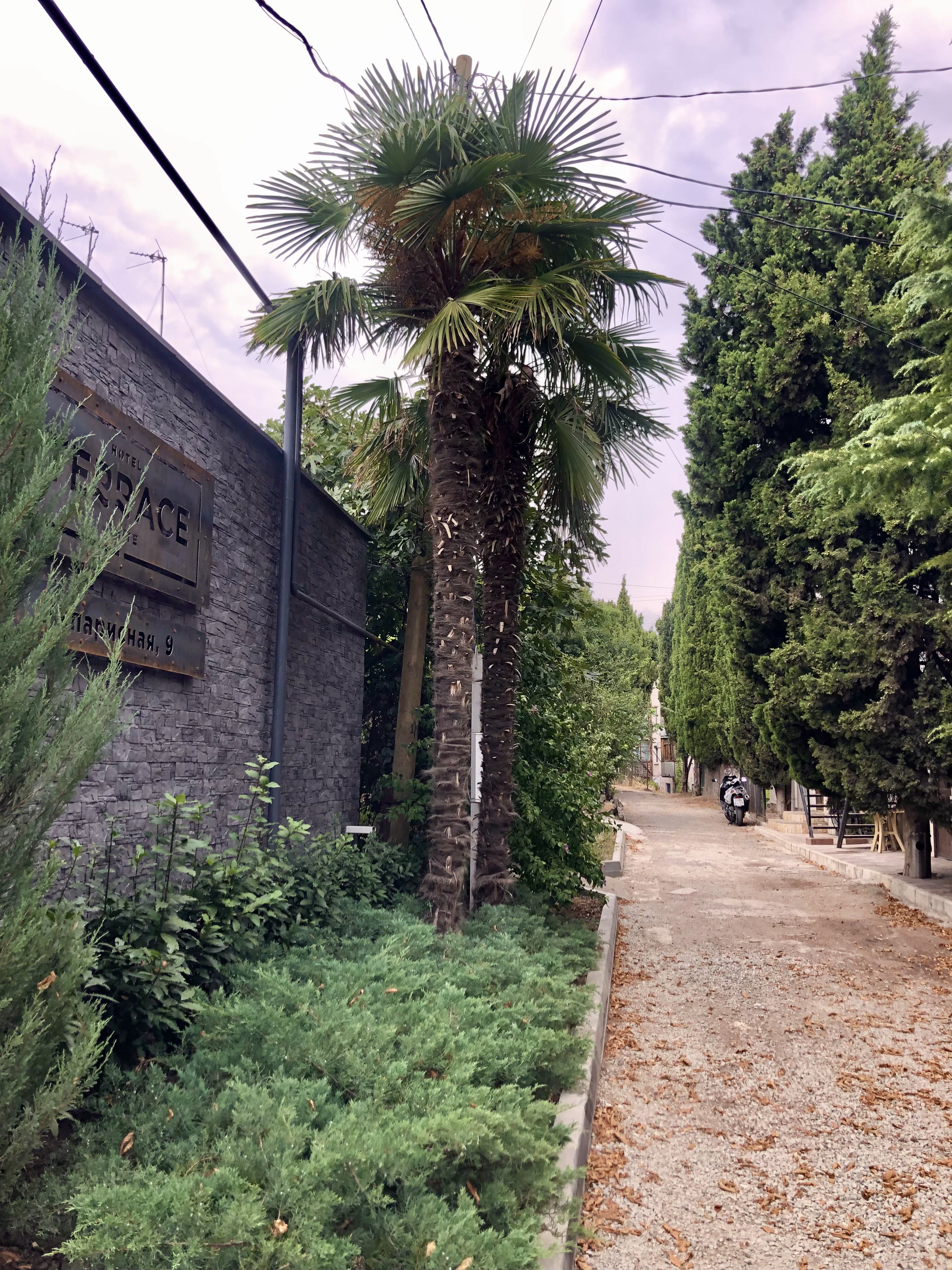 Фото Белая Терраса