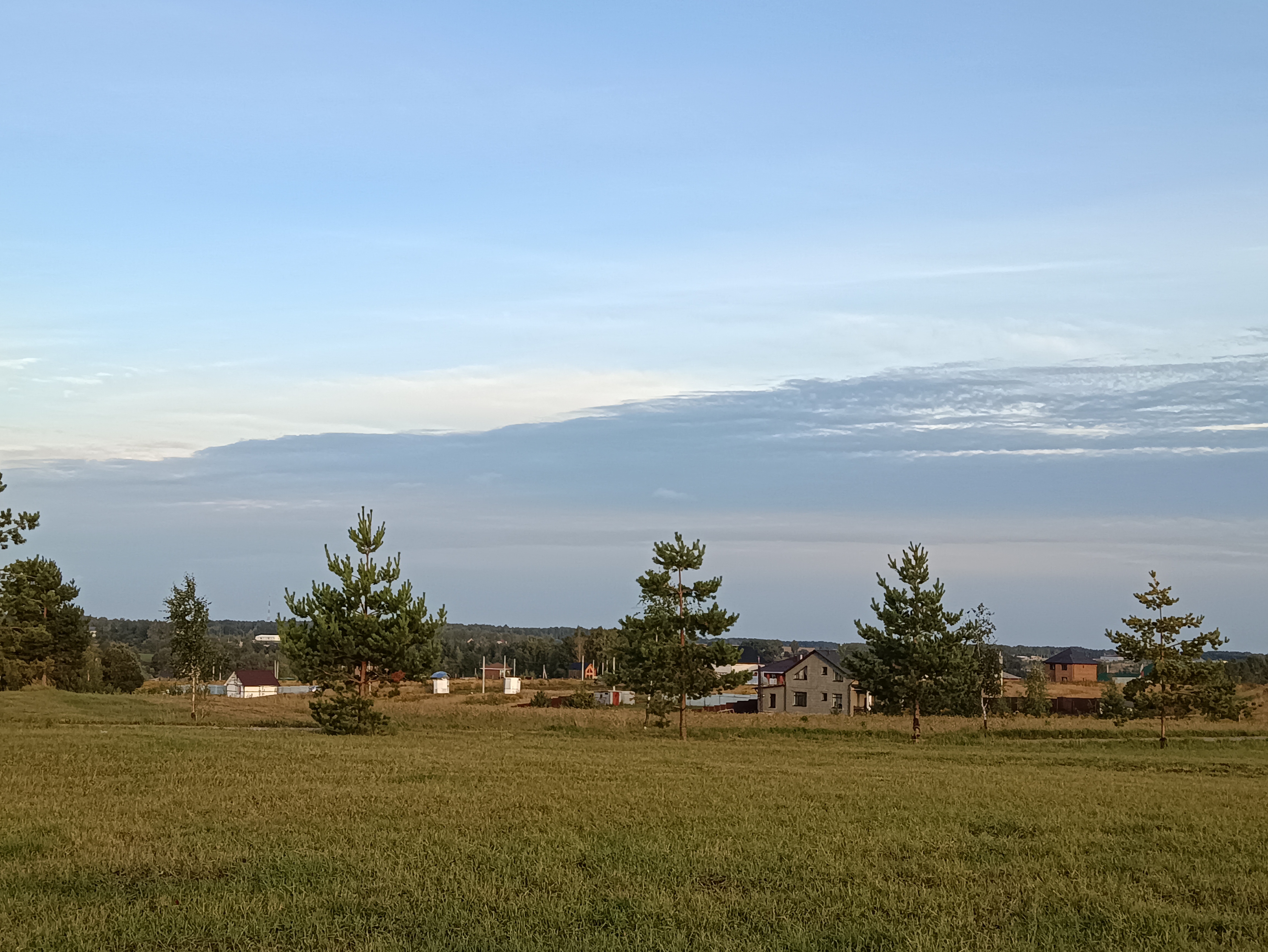 Фото Елисеевы поля