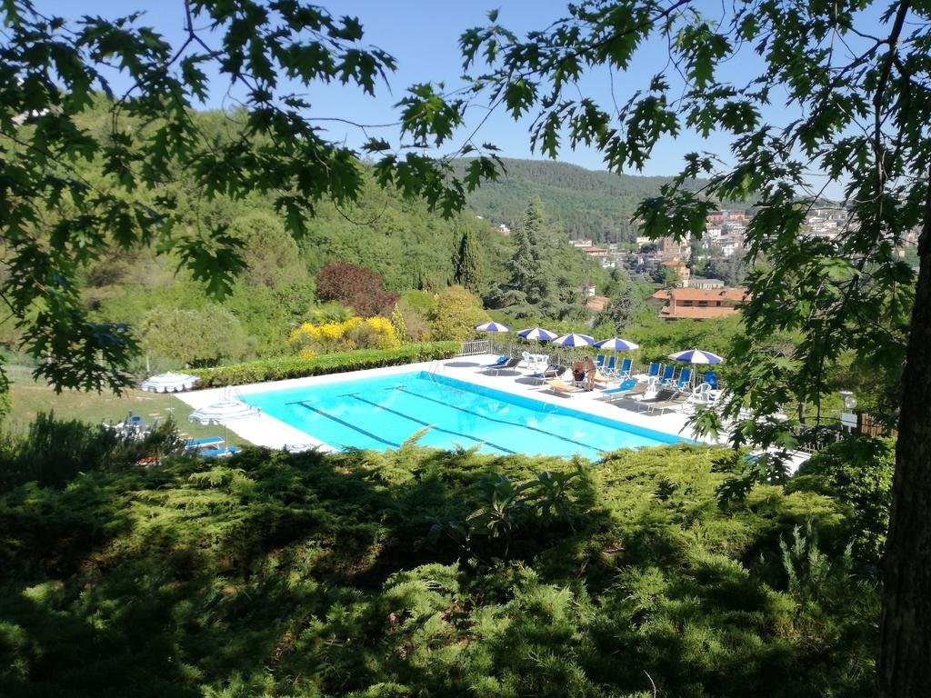 Фото Hotel Bosco