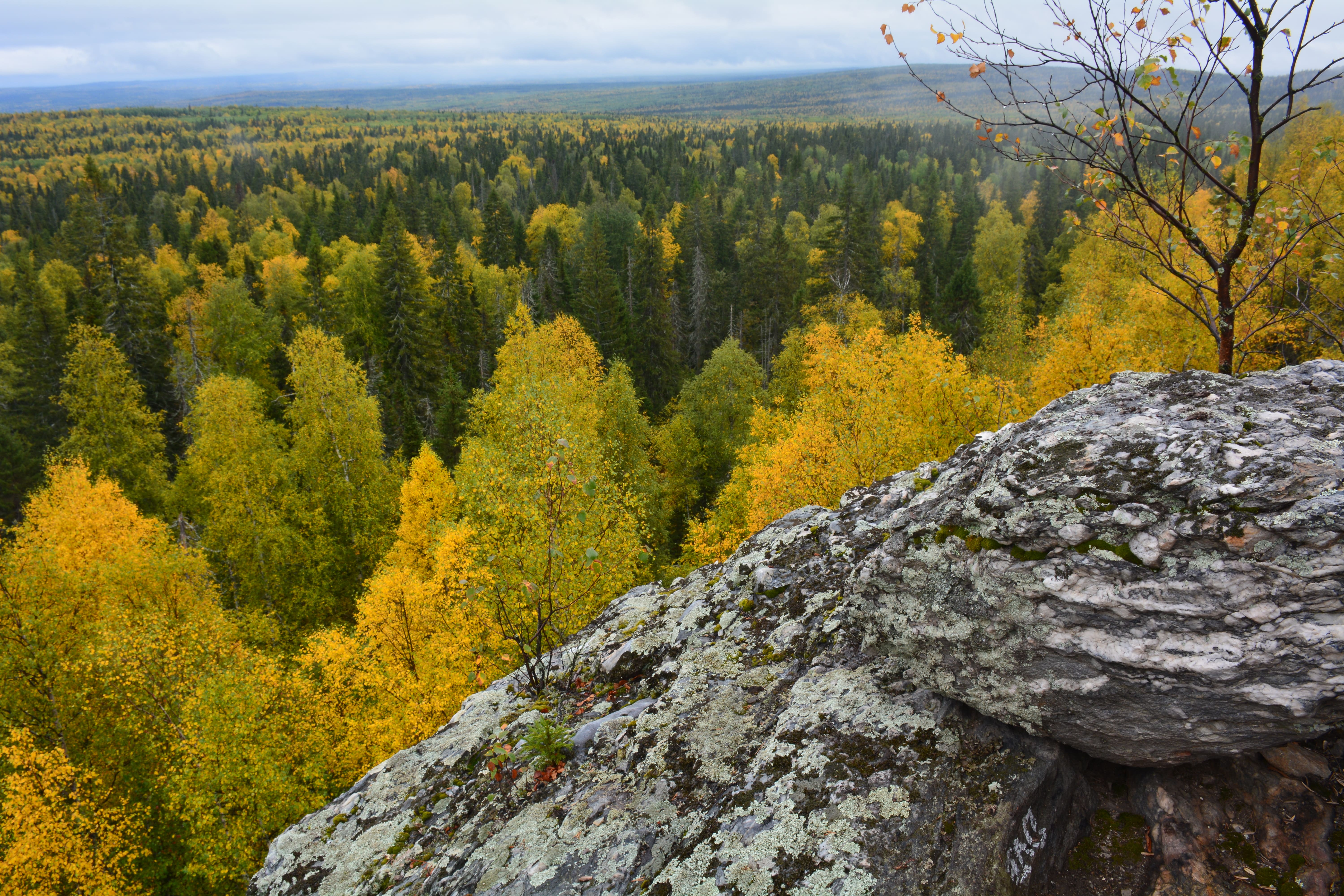 Фото Мариинские избы