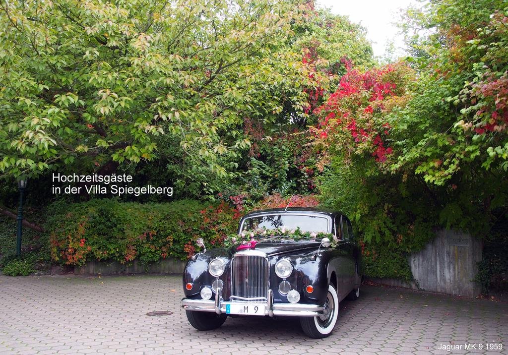 Фото Villa Spiegelberg