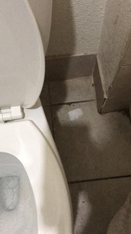 Фото Super 8 by Wyndham Norcross/I-85 Atlanta