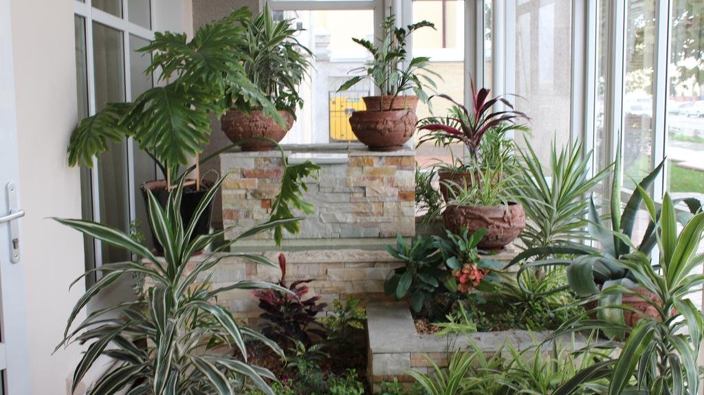 Фото Orient Star