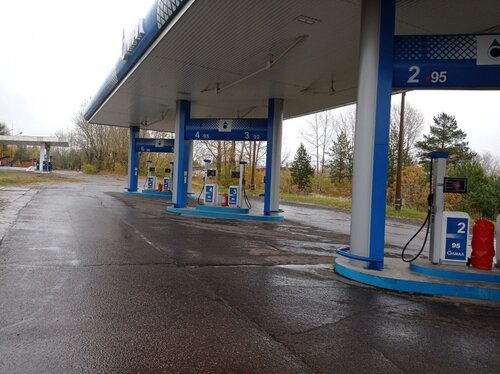Gas station Olmal, Zheleznogorsk, photo