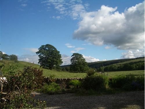 Фото Holmhead Guest House