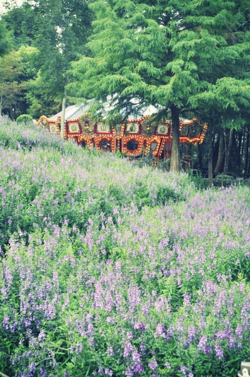 Hotel Adagio Reindeer Taichung Herb House, Taichung, photo