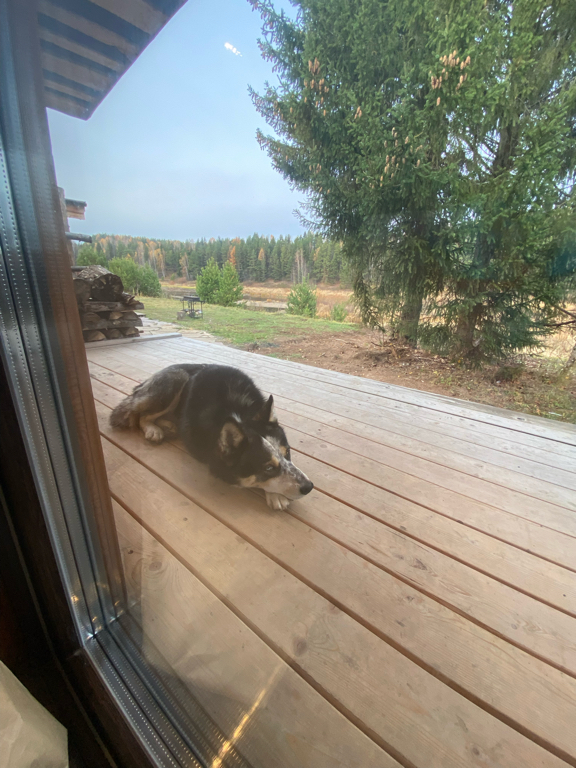 Фото Мартьяновская дуга