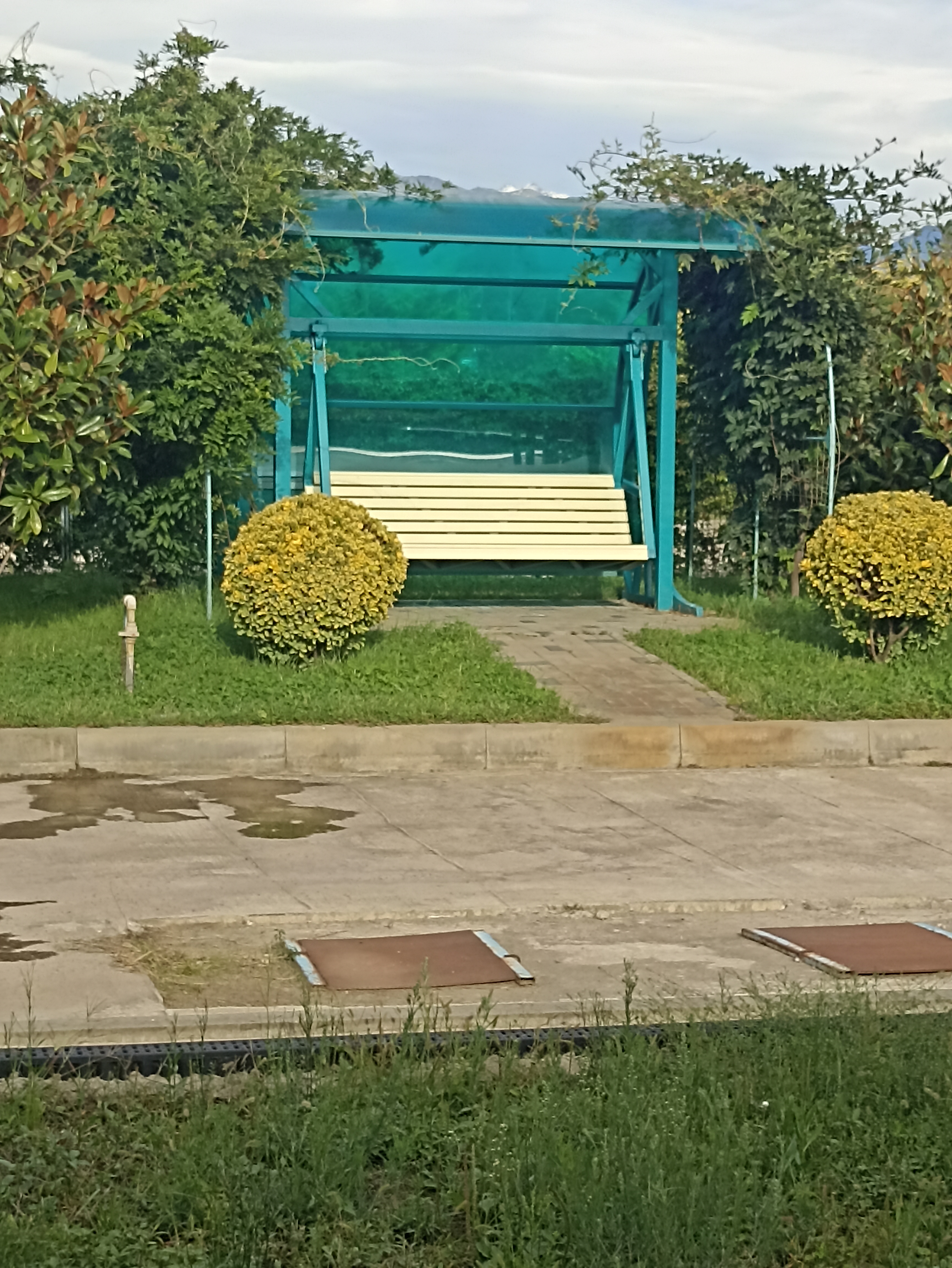 Фото Золотой огонек