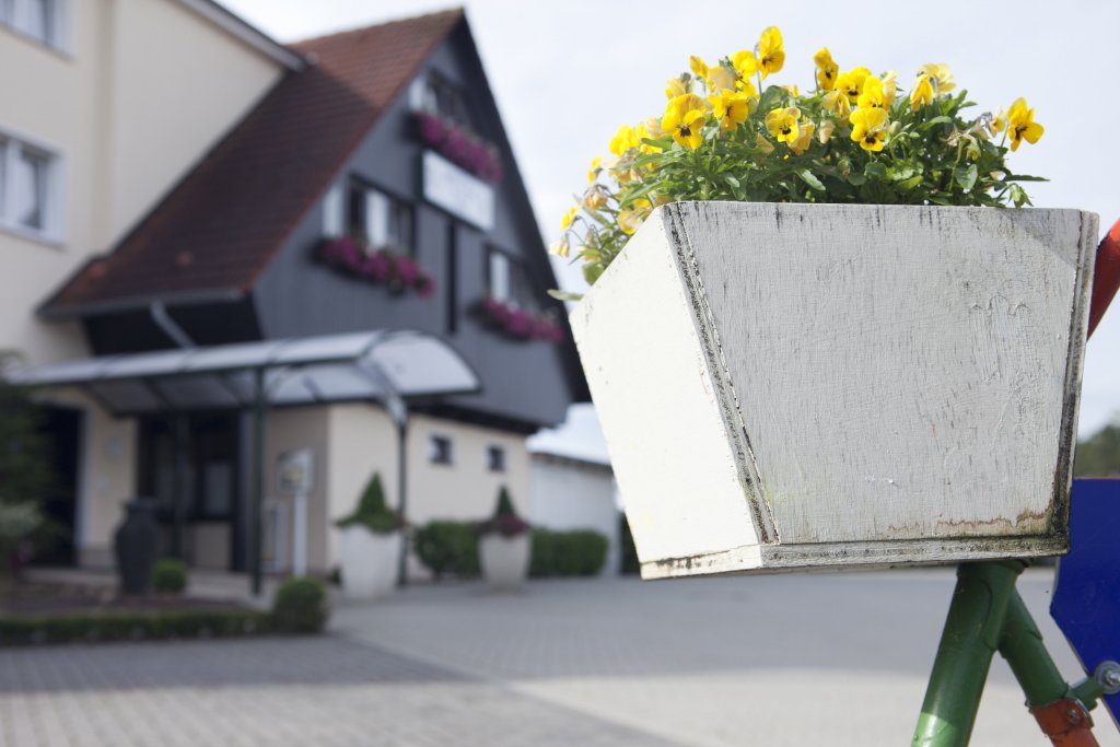 Фото Hotel Tiek Superior