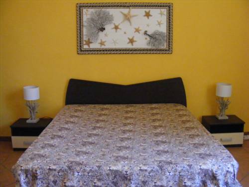 Фото 213958696842