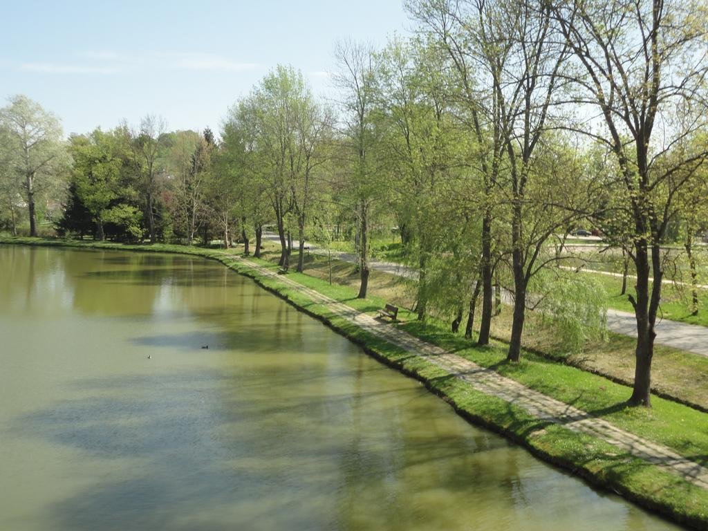 Фото 84359029059