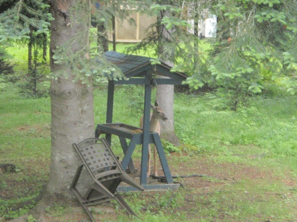 Фото Gîte la Tremblante