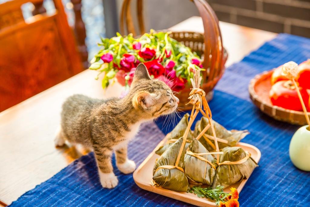 Фото 141997968592