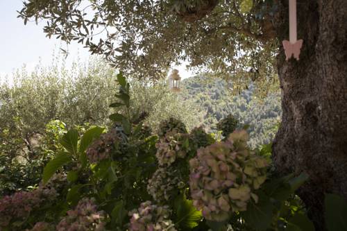 Фото Il Vecchio Frantoio