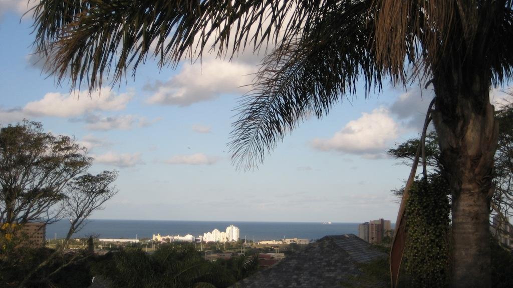 Фото The Palms Guesthouse