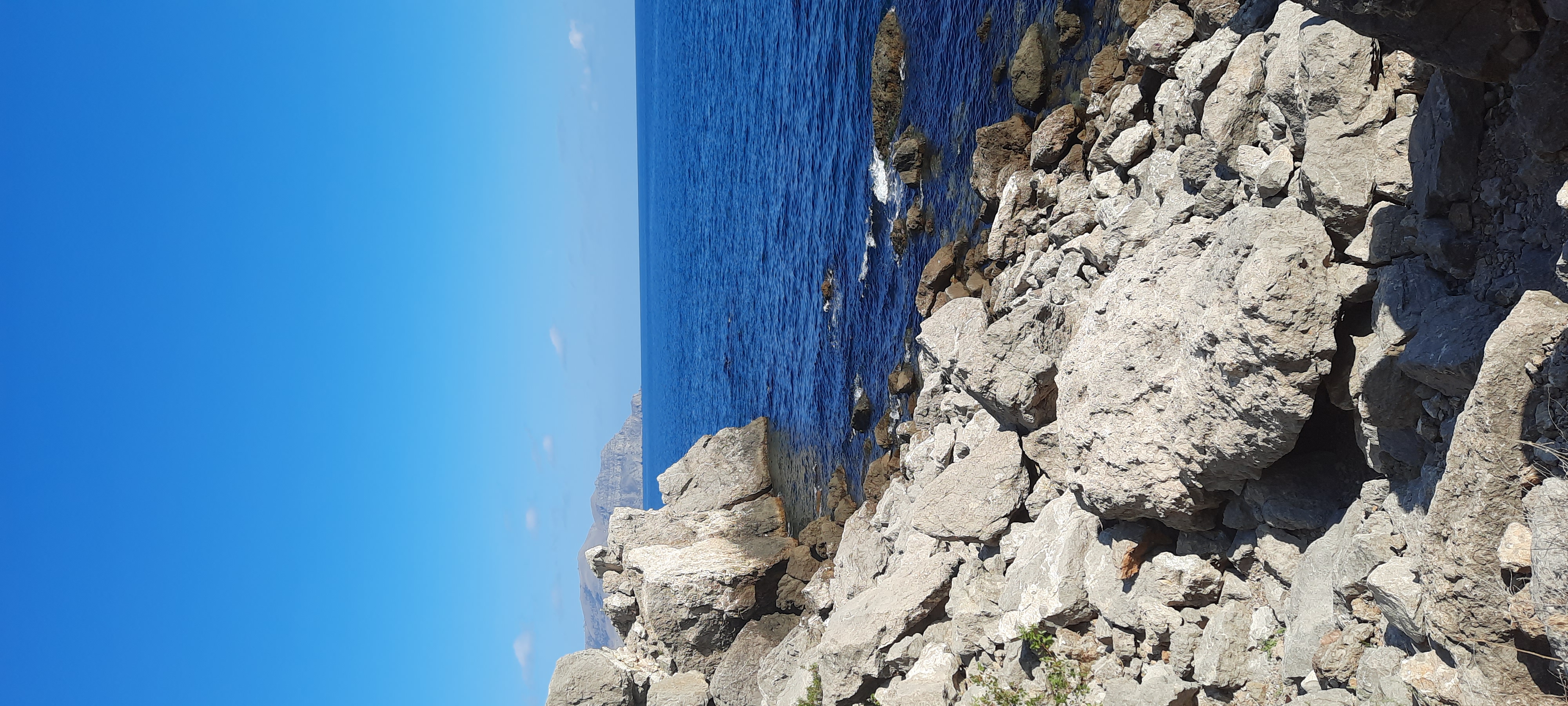 Фото Four sisters