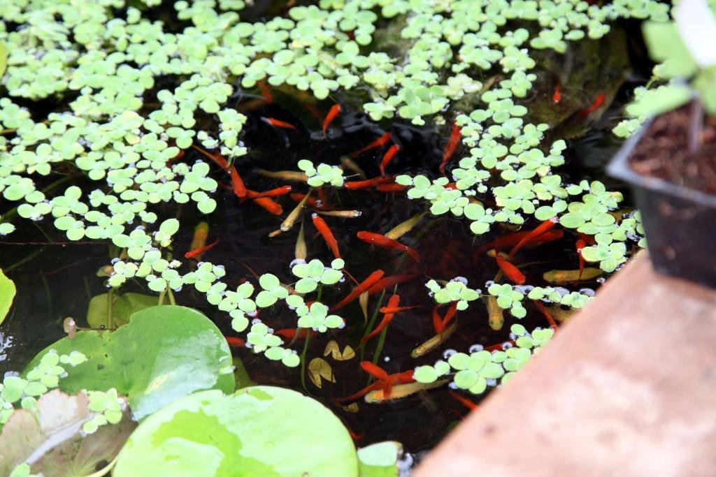 Фото Las Palmas Villa