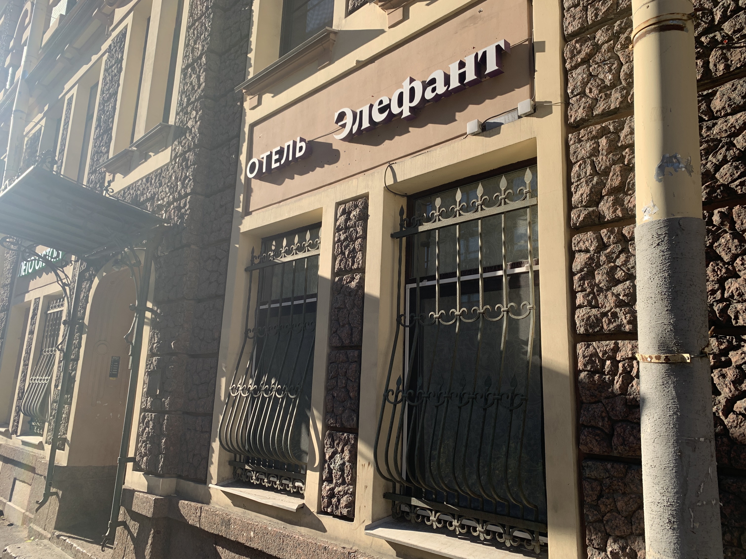 Фото Элефант