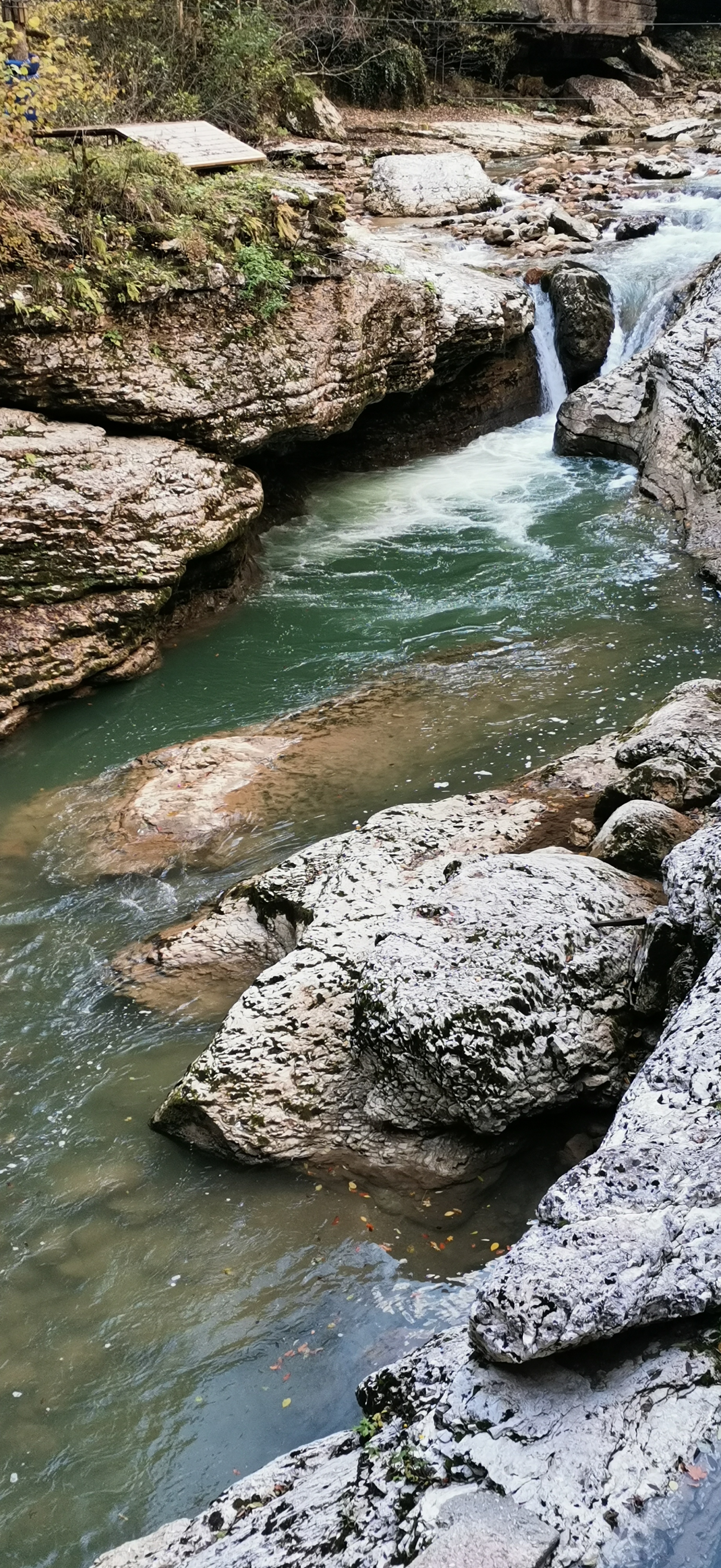 Фото Куршевель