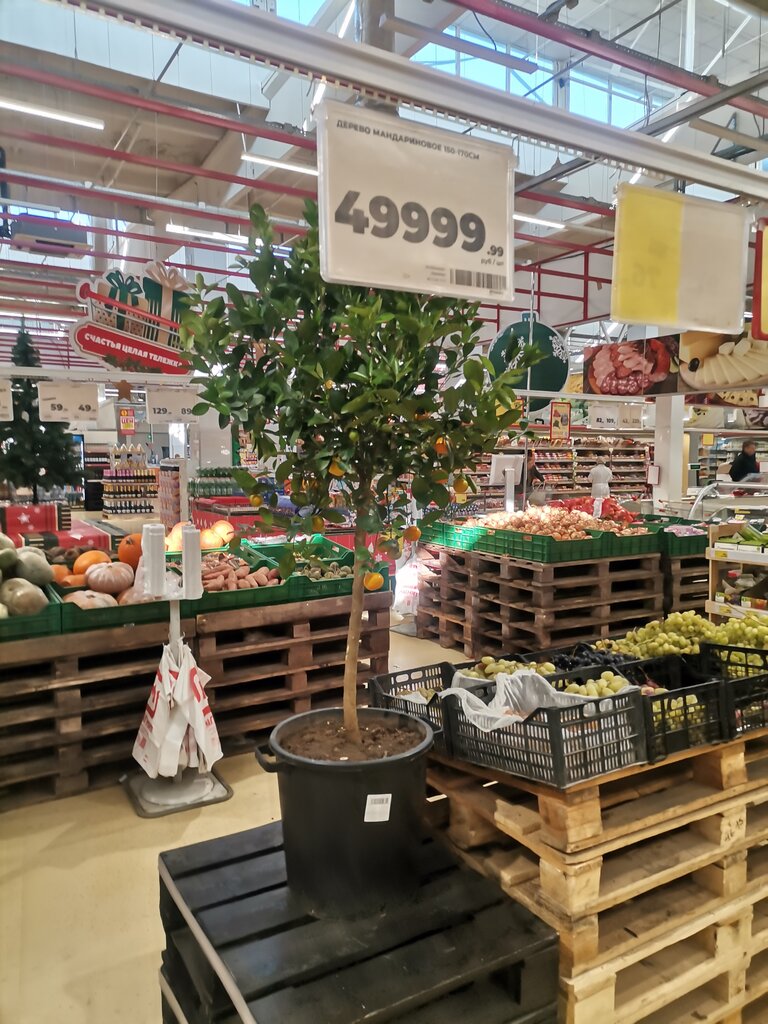 Food hypermarket Magnit Ekstra, Novocherkassk, photo