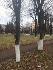 В.И. Ленин (Chuvash Republic, Mariinskiy Posad), monument, memorial