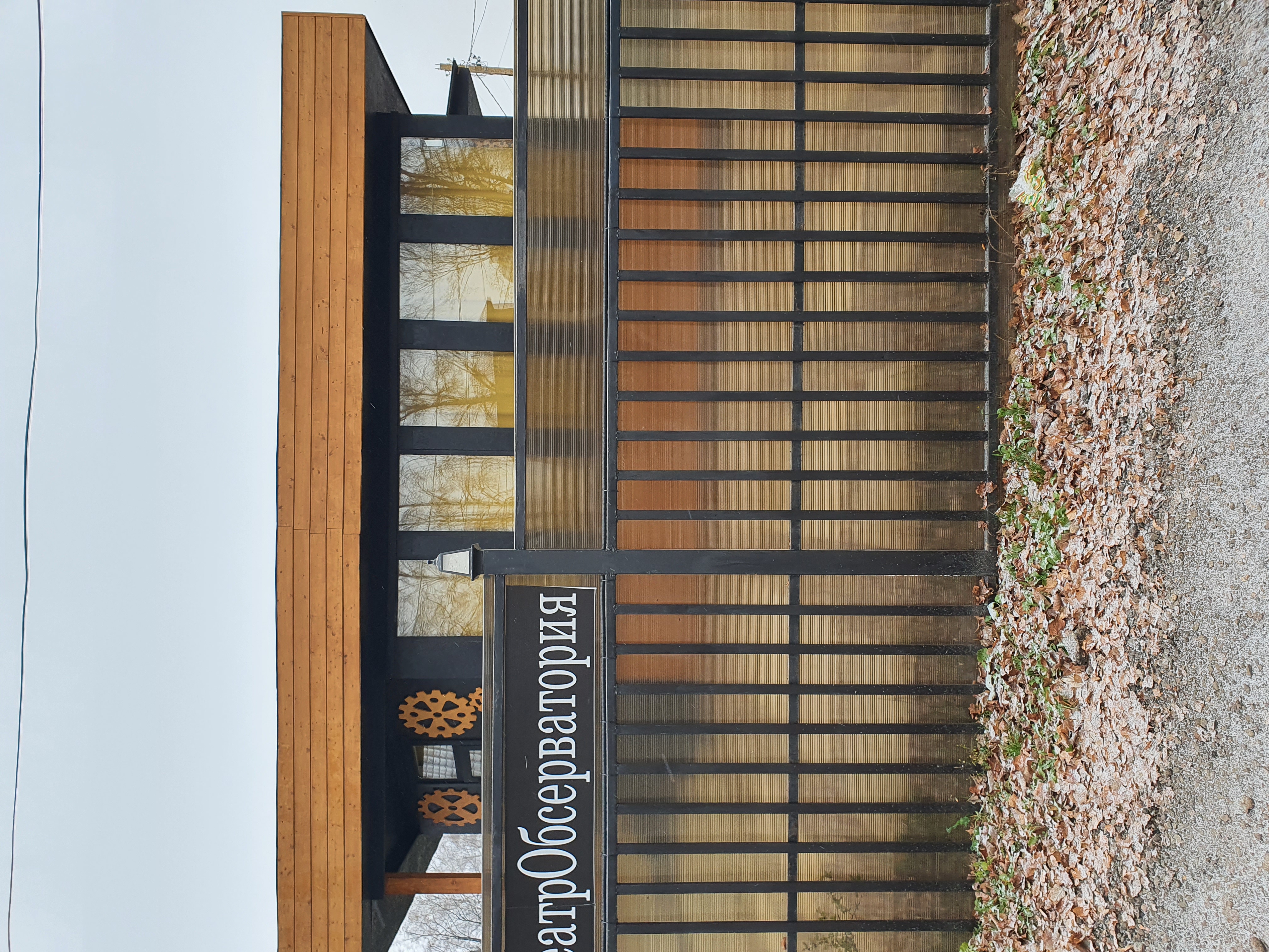 Фото Белый Кролик