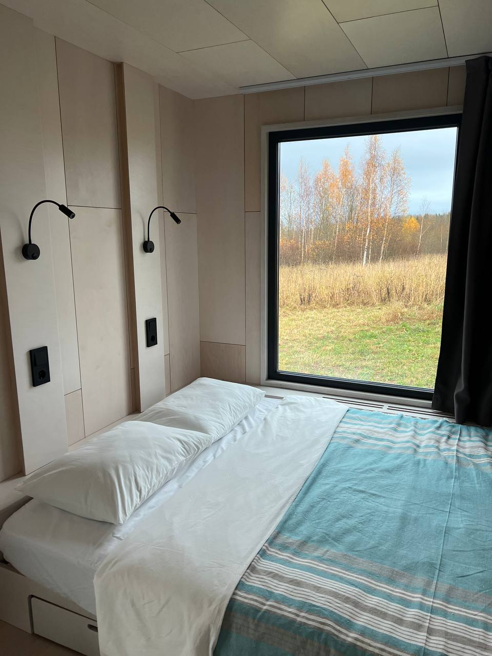 Фото Зеленый лес