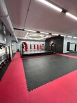 Belaya rys (Elektrozavodskaya Street, 58) ، نادي رياضي، مجموعة