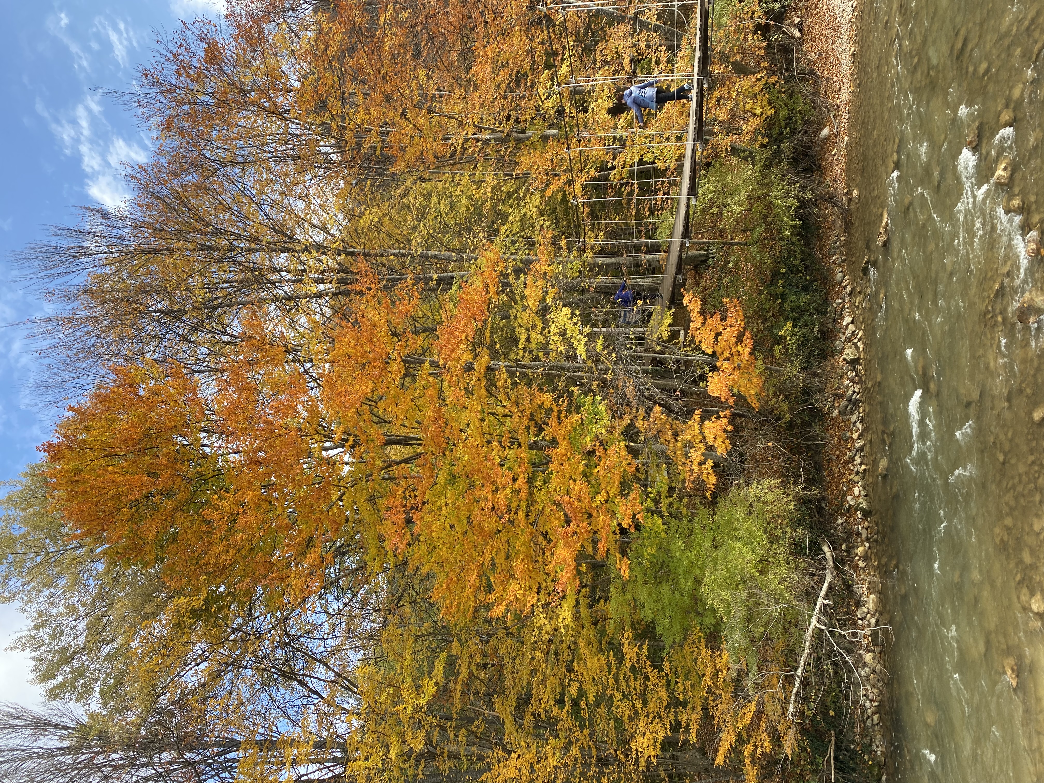 Фото Денница