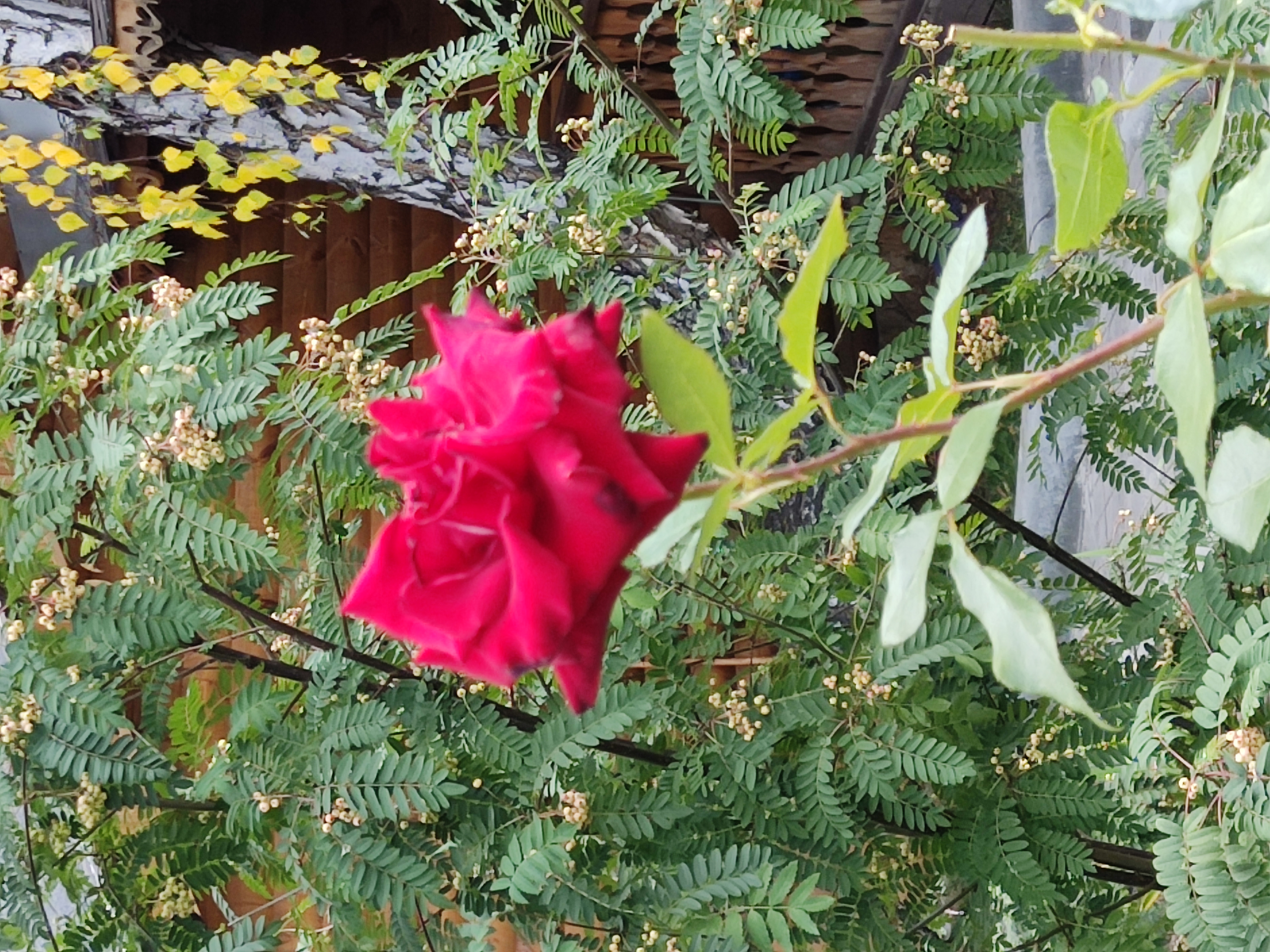 Фото Хутор Увильды