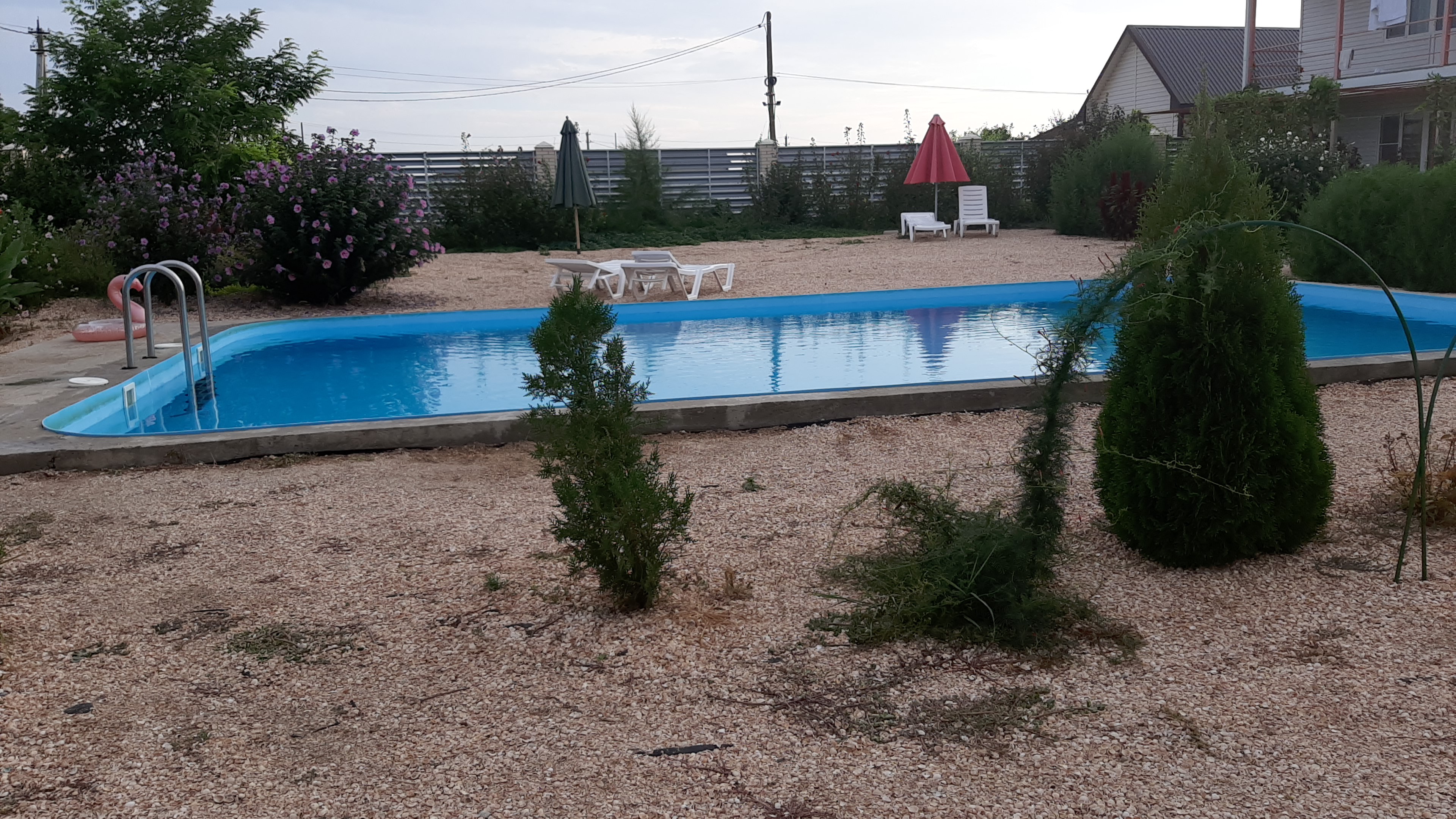 Фото Фордевинд