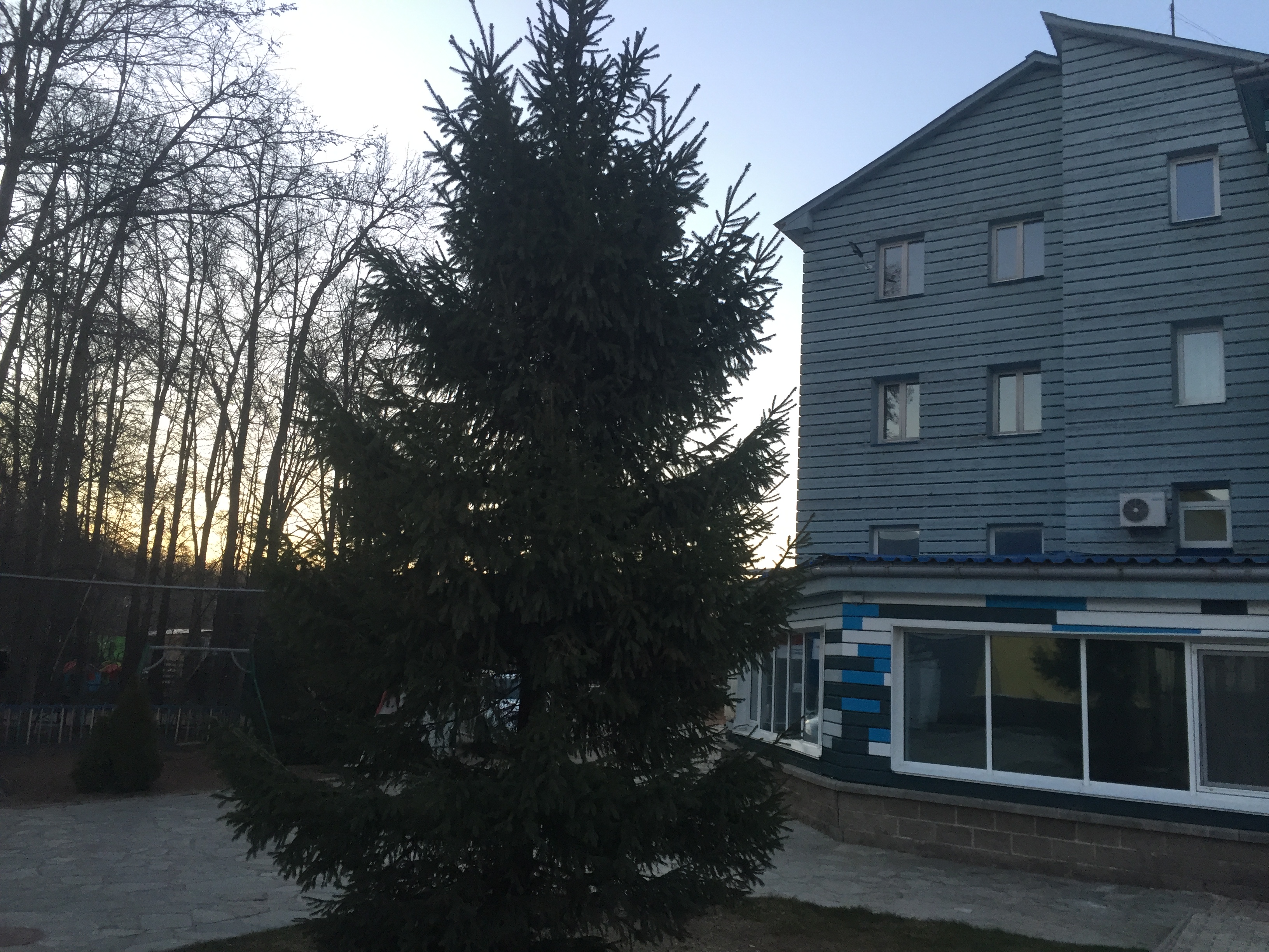 Фото Красивая поляна