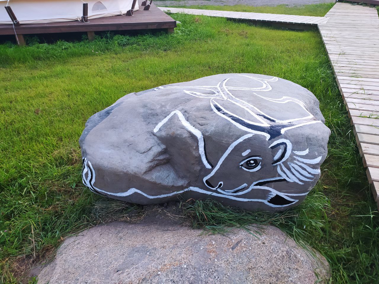 Фото Видноозеро