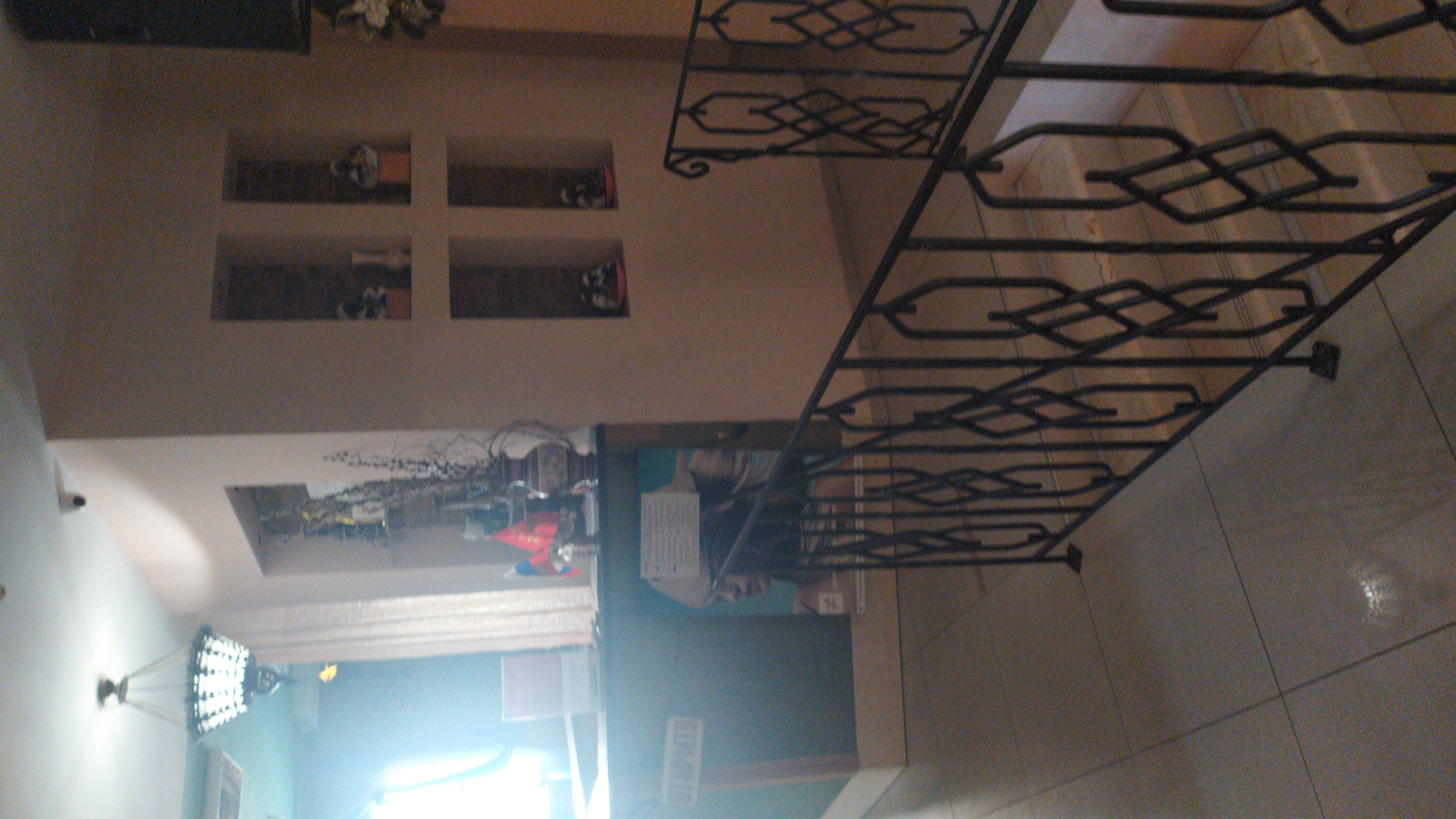 Фото Арабика