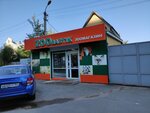 Zoobastik (Fridrikha Engelsa Avenue, 82А), pet shop