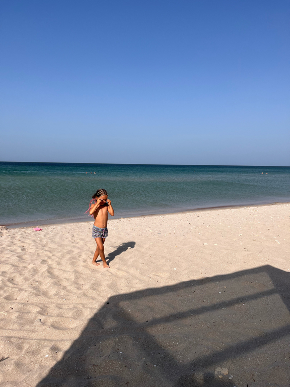 Фото Шале Люкс