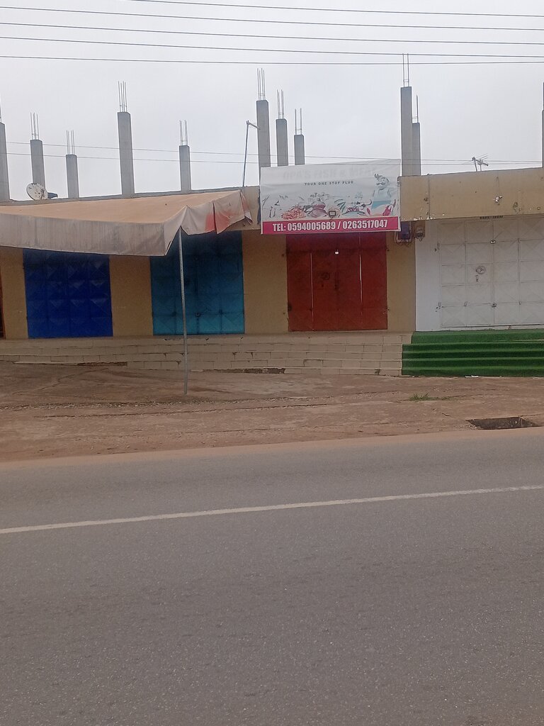 Cold storage facility Opa's Fish & meat, Accra, photo