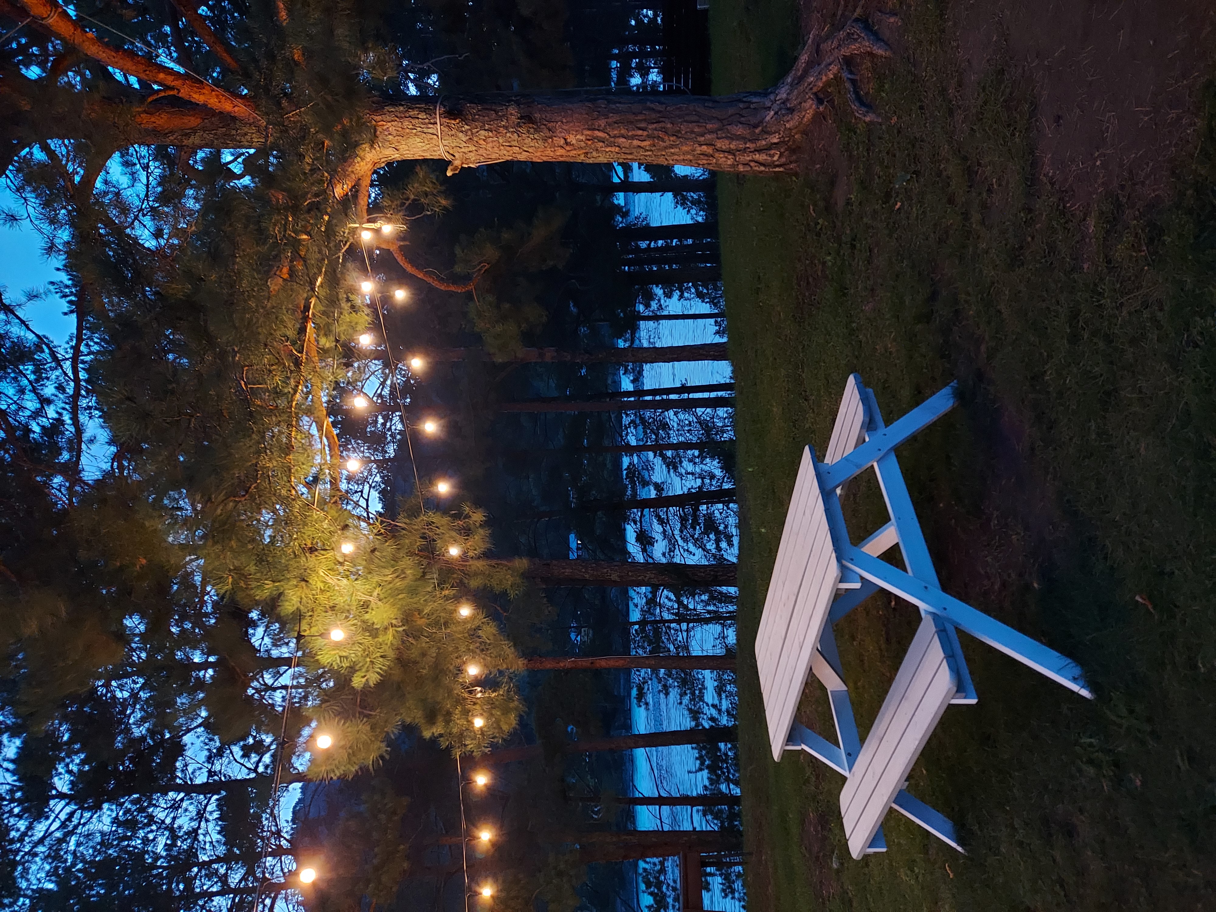 Фото Алтерия