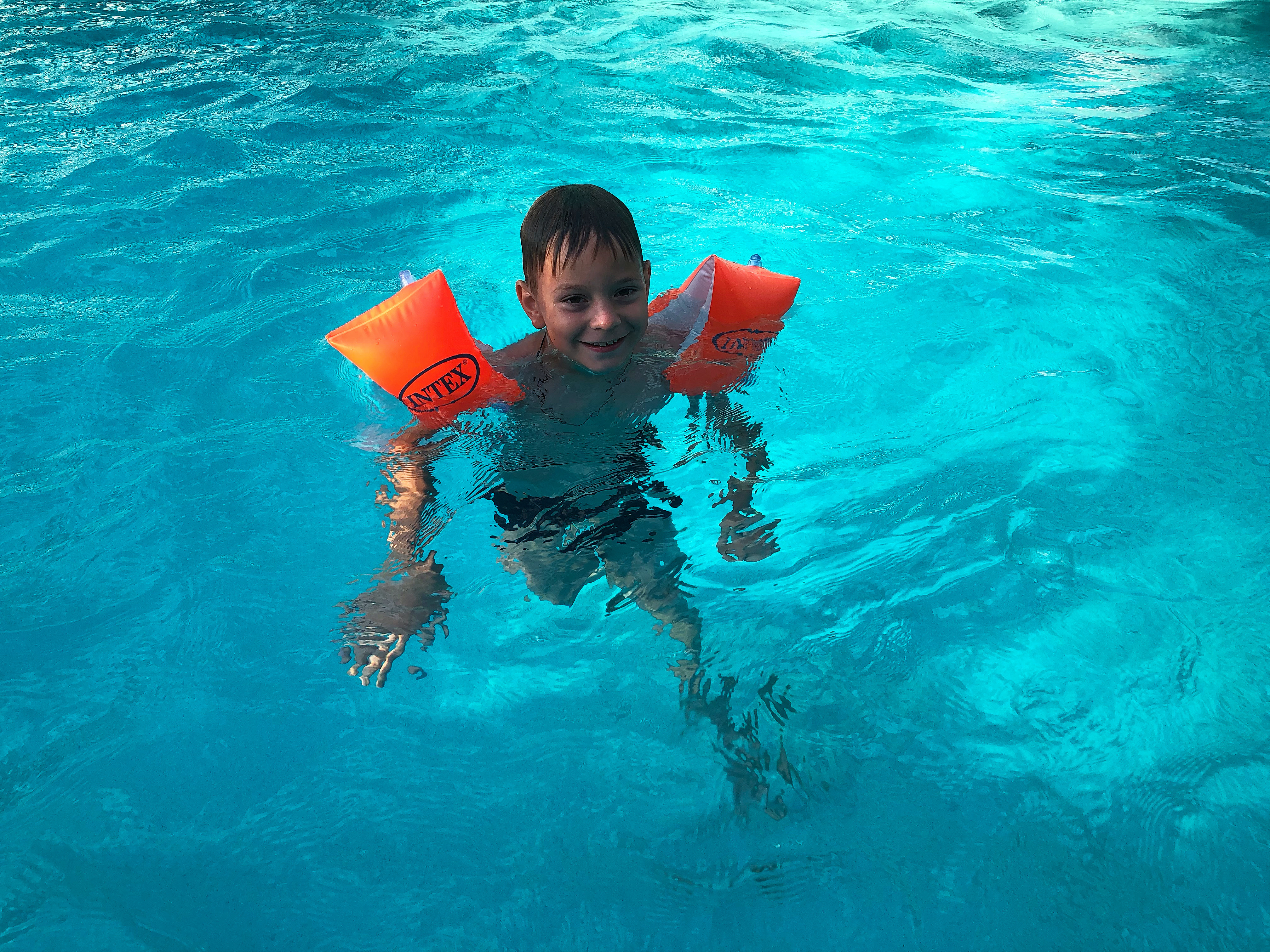 Фото Белая берёза