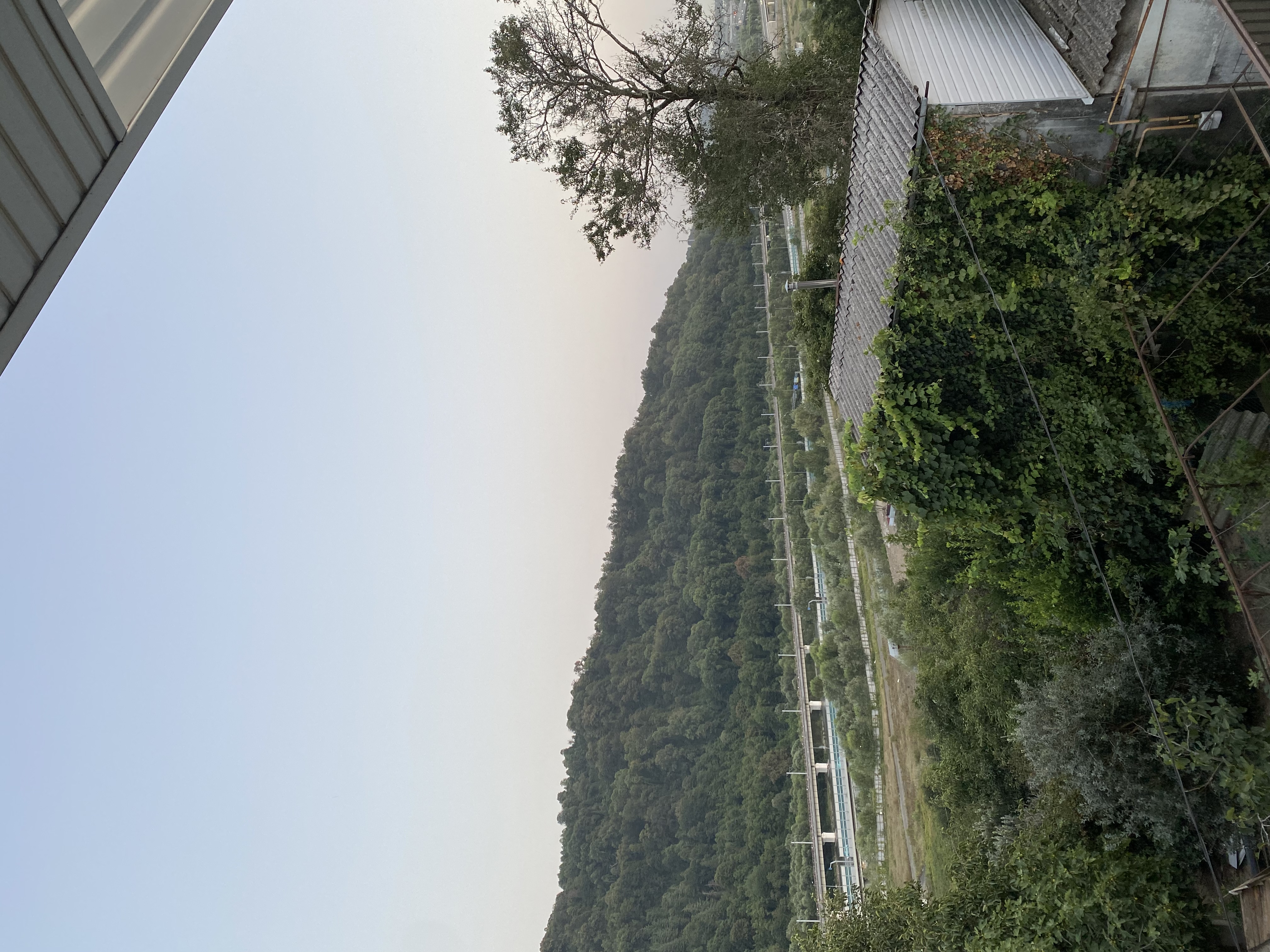 Фото Adler pool home