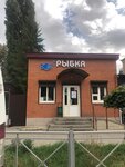 Рыбка (ulitsa Karla Marksa, 58), grocery