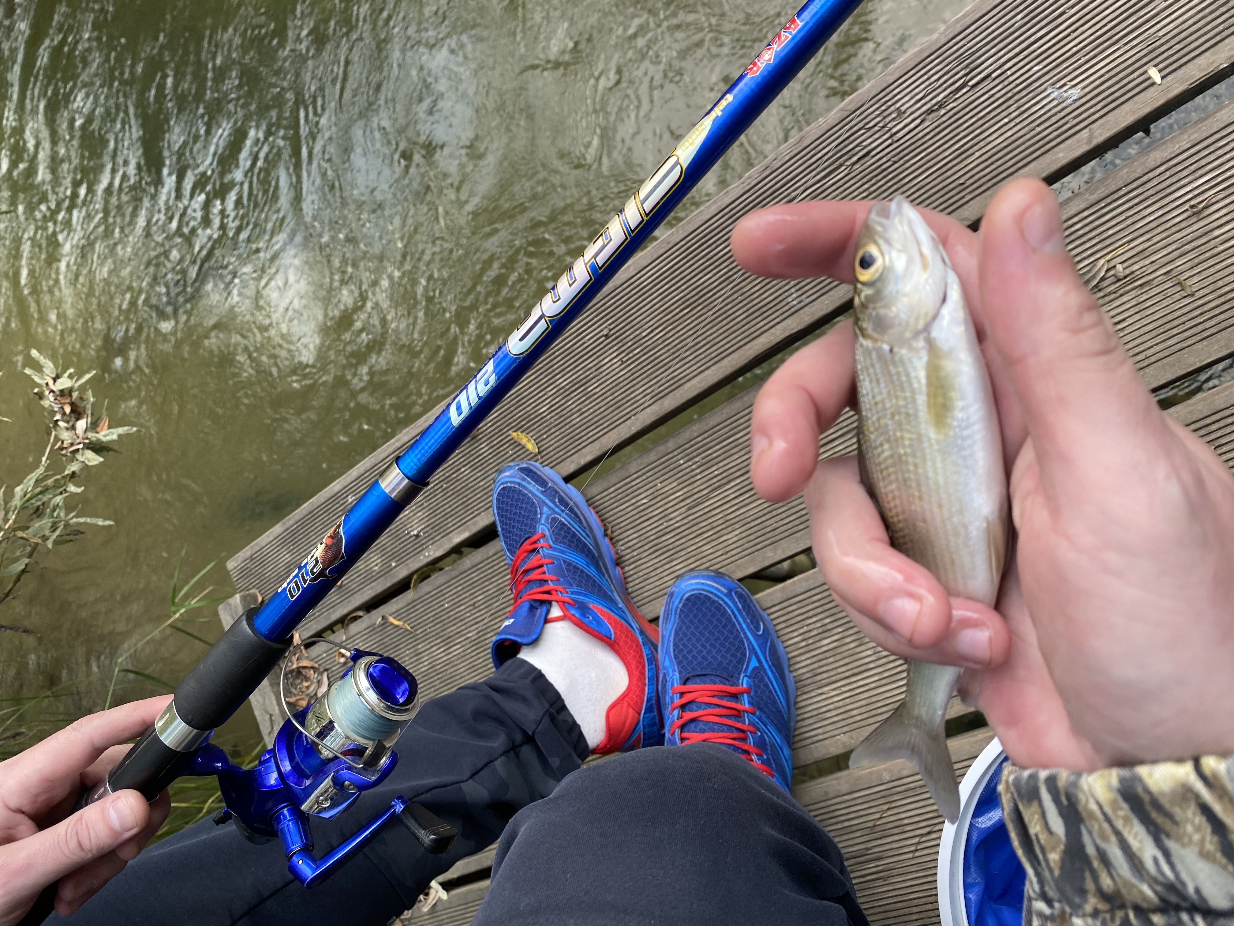 Фото Новые соседи