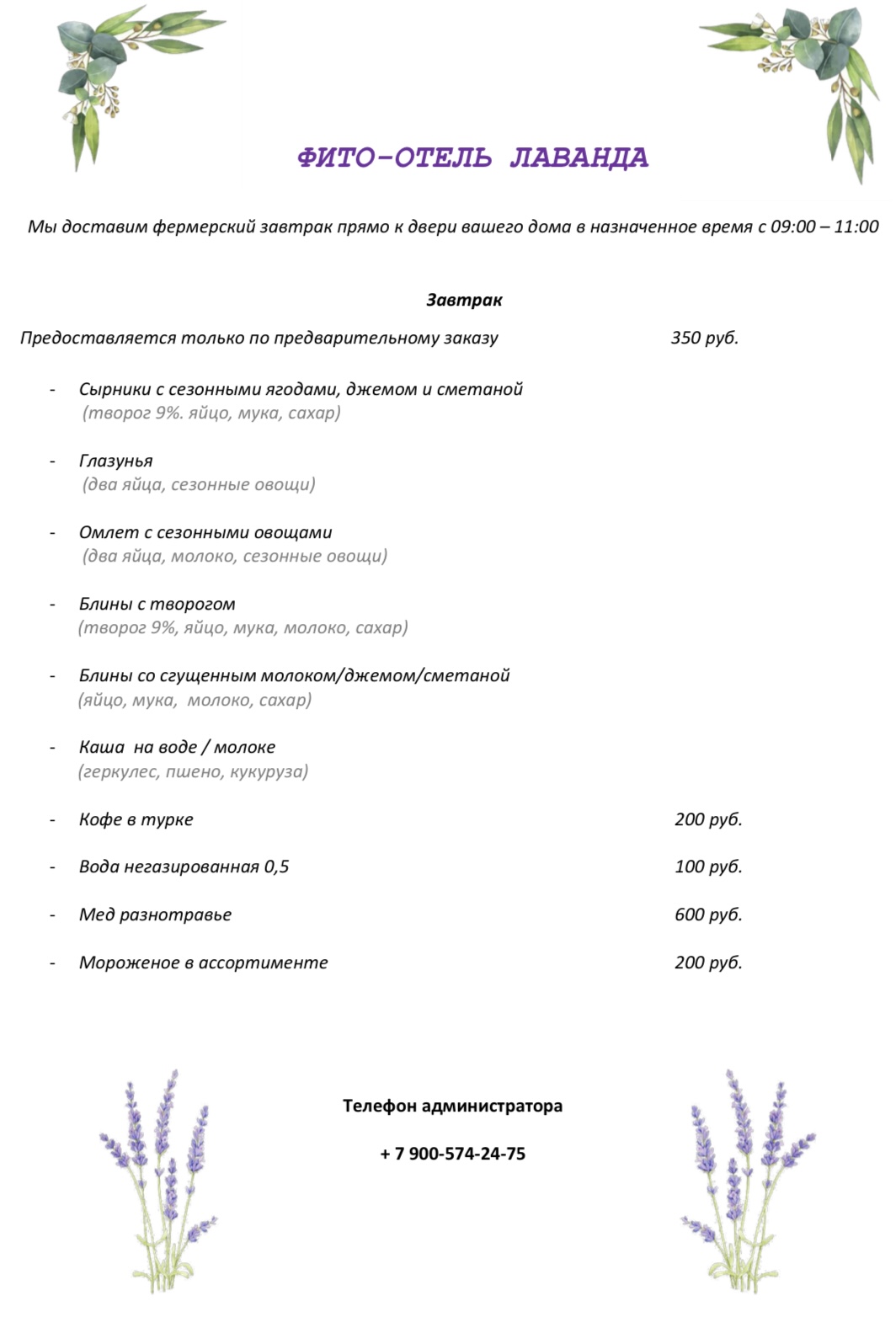 Фото Лаванда