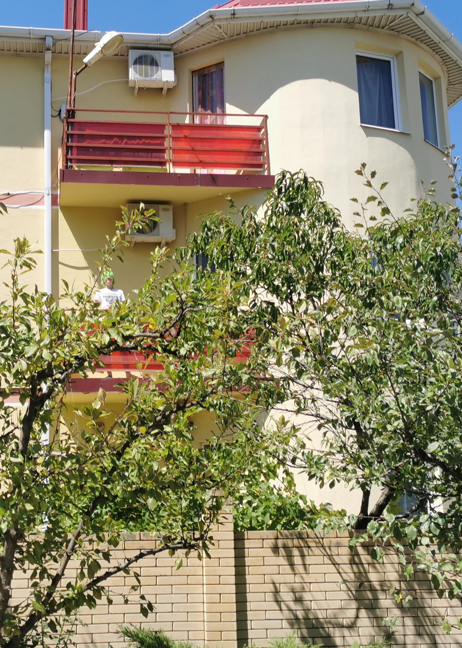 Фото Розовый сад