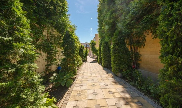 Фото Южная ночь