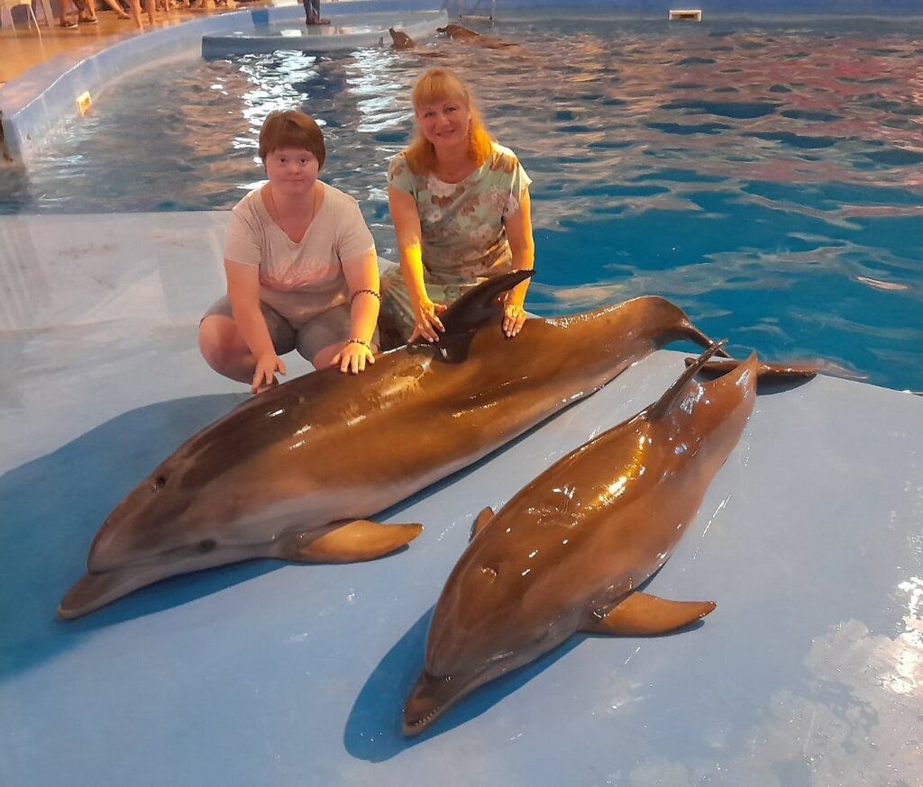 Dolphinarium Dolphinarium, Sochi, photo