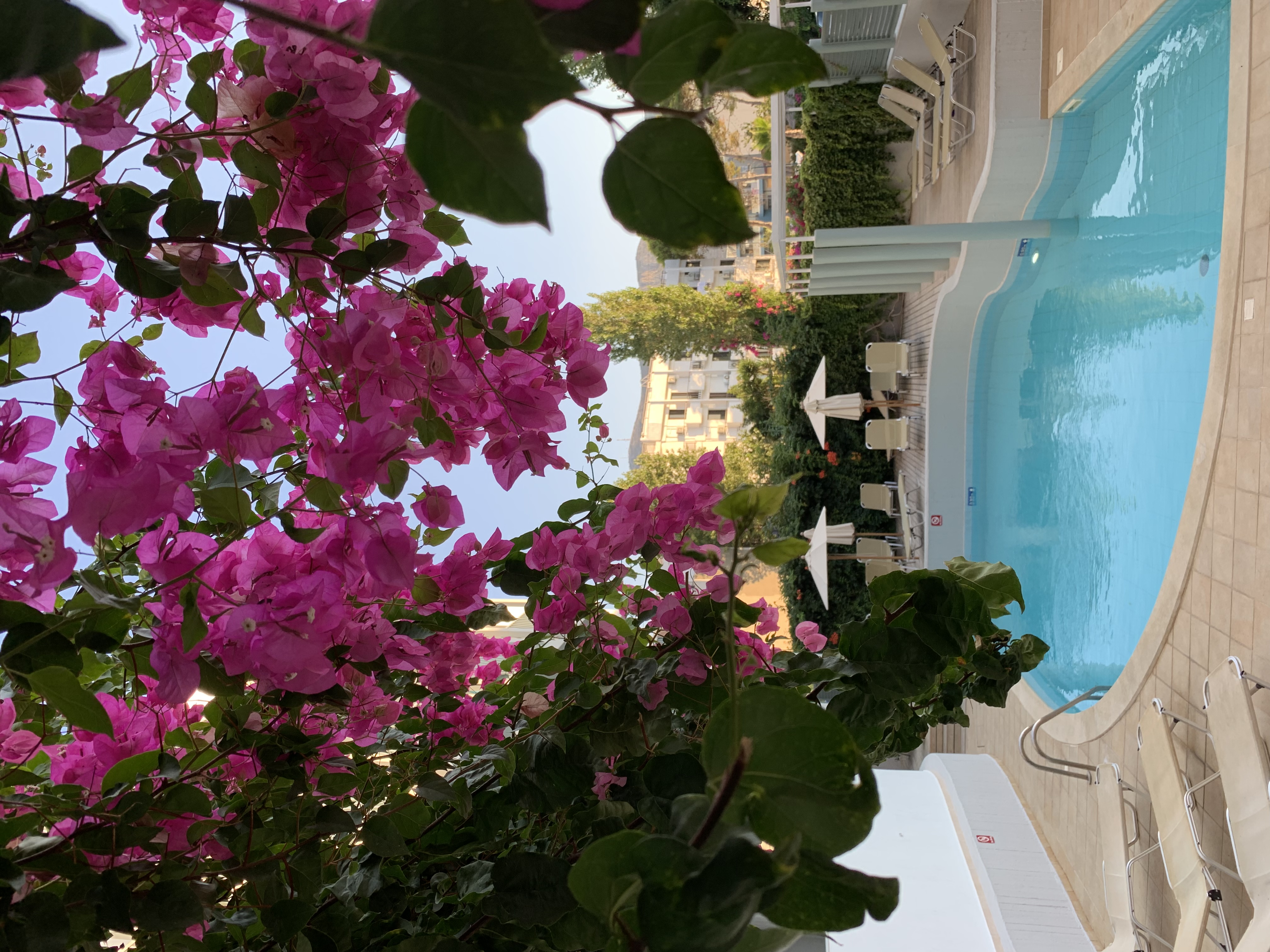 Фото 148210059202