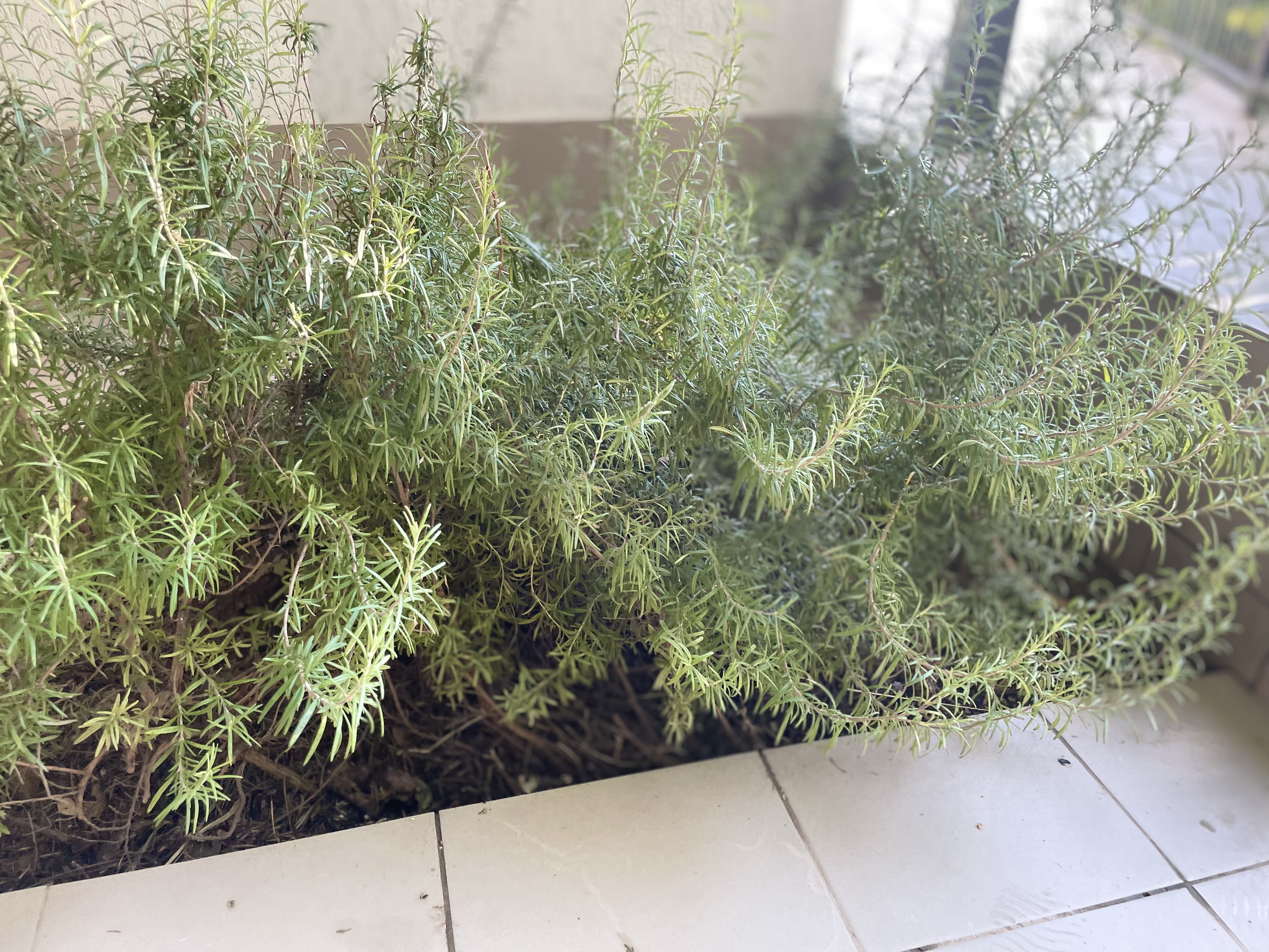 Фото Кефало-Вриси