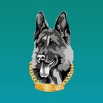 Доктор Калач (ул. Гагарина, 37/1), ветеринарная клиника в Клину